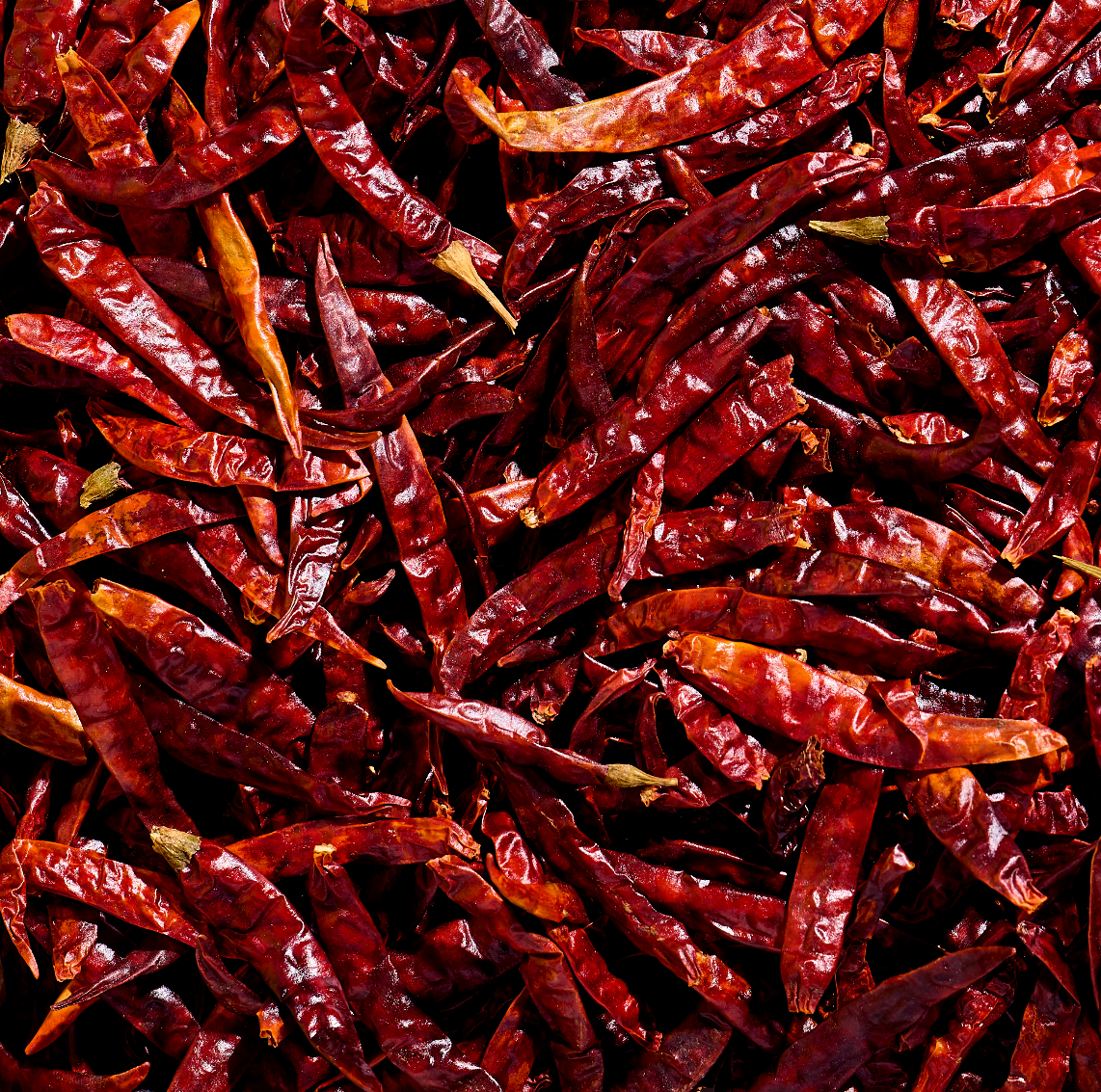 what is chile de árbol?