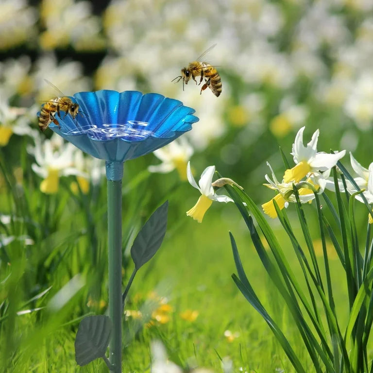 5 simple ways to support bees at home