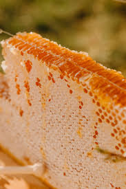organic vs raw honey (what’s the difference?)