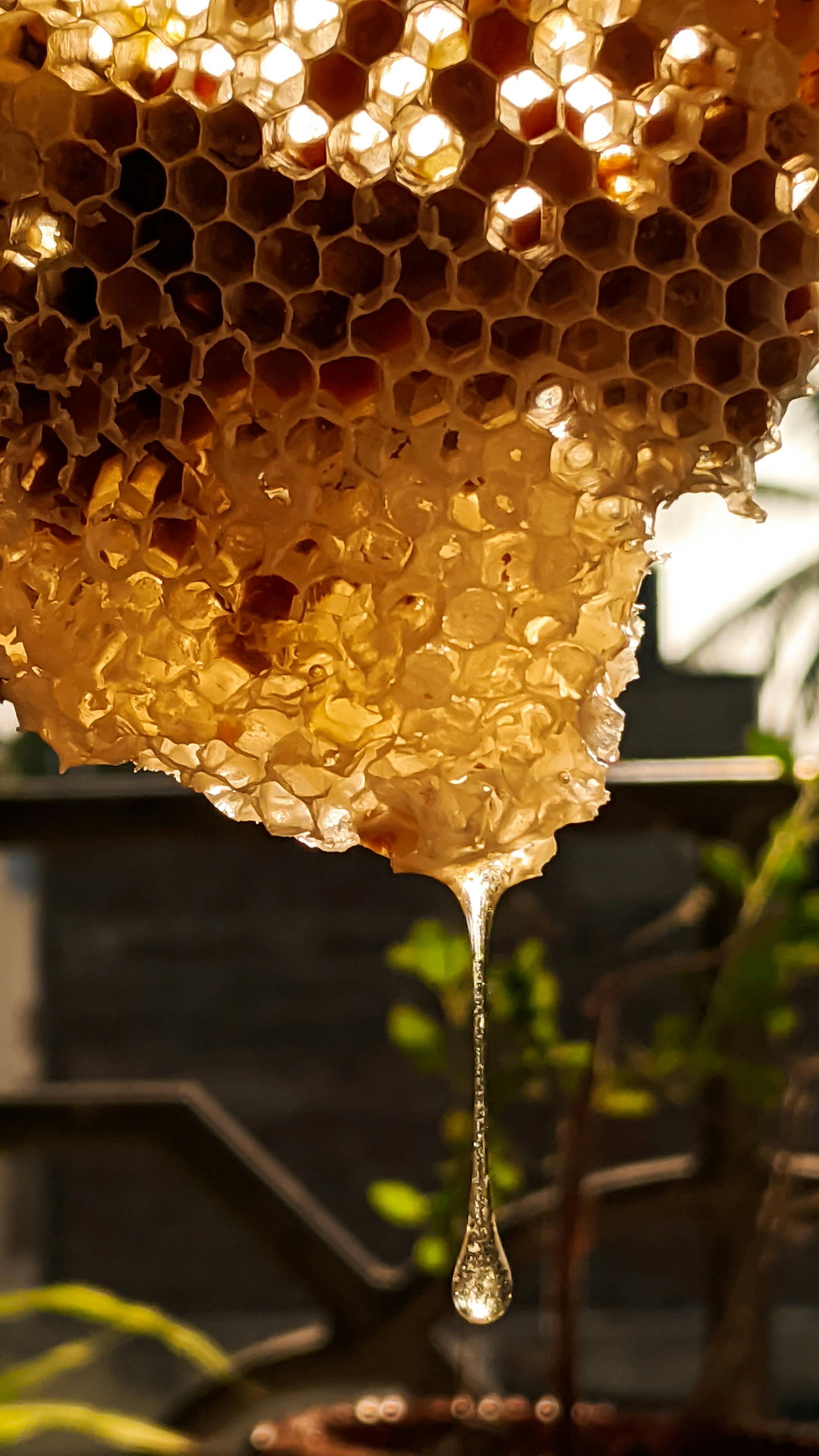 is hot honey healthy? benefits explained